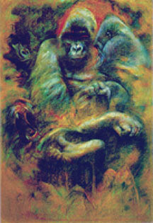 Audart Gallery, Mountain Gorilla Portrait, Bob Ziering